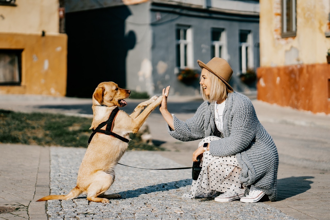 Mit dem Hund nach Italien – an was man bei einer Autoreise in den Süden denken muss