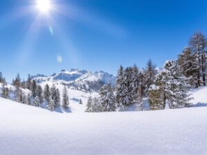 3 Tage Dolomiten, Wellness & Genuss in Niederdorf (Südtirol), Trentino-Südtirol inkl. Halbpension